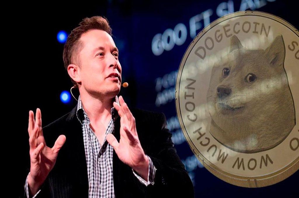 DOGE skyrocketed as a result of Elon Musk tweet